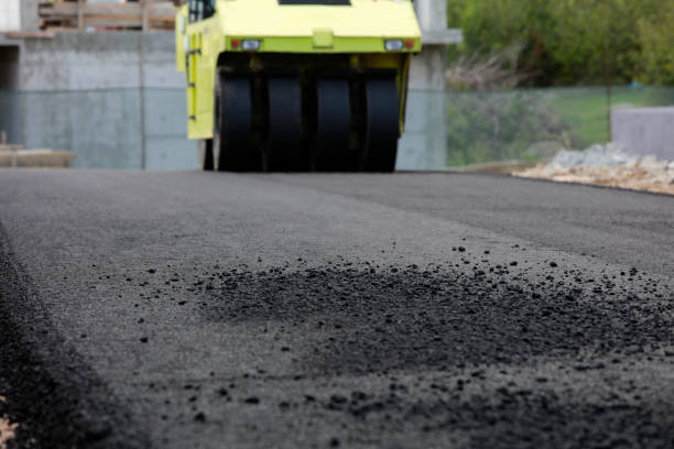 Best Commercial Driveway Pavers  in Circle Pines, MN