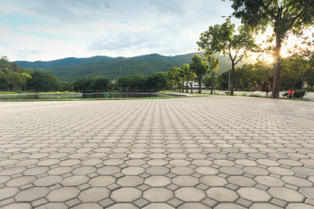 Best Driveway Pavers Installation  in Circle Pines, MN
