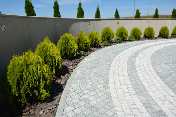 Best Driveway Resurfacing Pavers  in Circle Pines, MN
