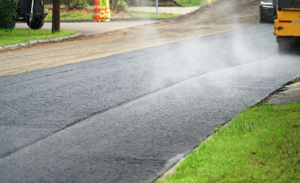 Best Driveway Paving Near Me  in Circle Pines, MN